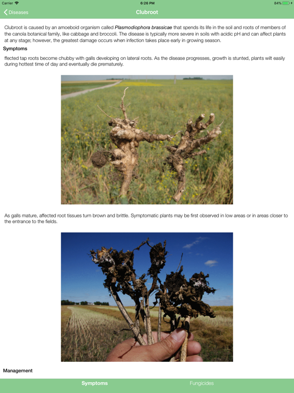 Screenshot #6 pour NDSU Canola Doctor
