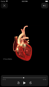 Cardiology Dictionary screenshot