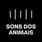 Este aplicativo mostra os animais em fotos reais para crianças de até 5 anos aprenderem os sons dos animais e sem mostrar anúncios ou propagandas