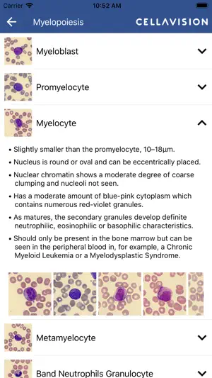 CellAtlas screenshot 2