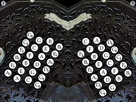 EnglitinaXL-English Concertina - Music App | MWM