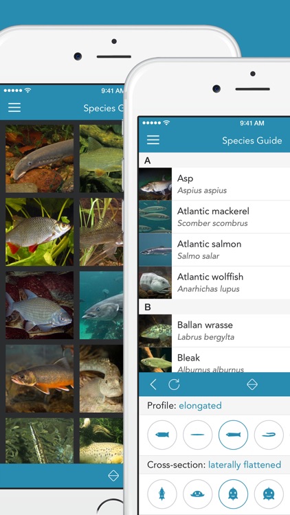 Fishes PRO - Field Guide