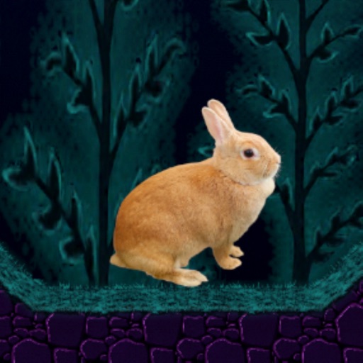 Rabbit Adventure icon