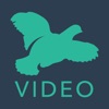 QCB Video Banking icon