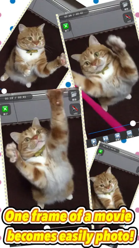 Movie >> Photo LITE