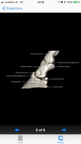 Game screenshot Equine Radiography hack