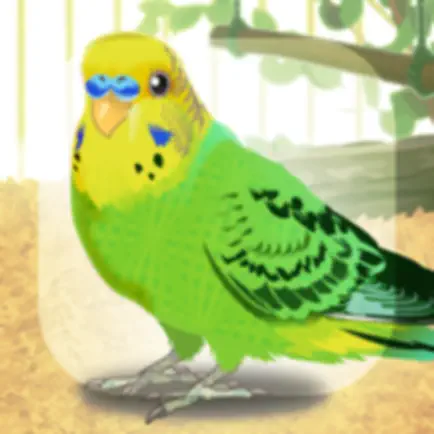 Parakeet Pet Cheats