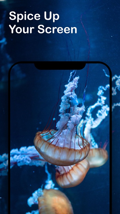 Wallpapers & Widgets,Moving 4K