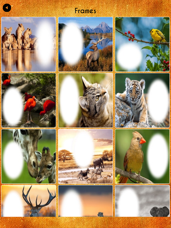 Screenshot #5 pour International Tiger Day Frames