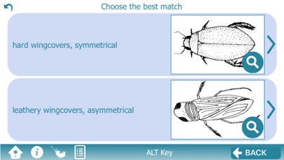 The Waterbug App Screenshot