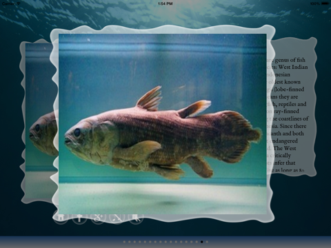 Screenshot #6 pour Dinosaures de la mer