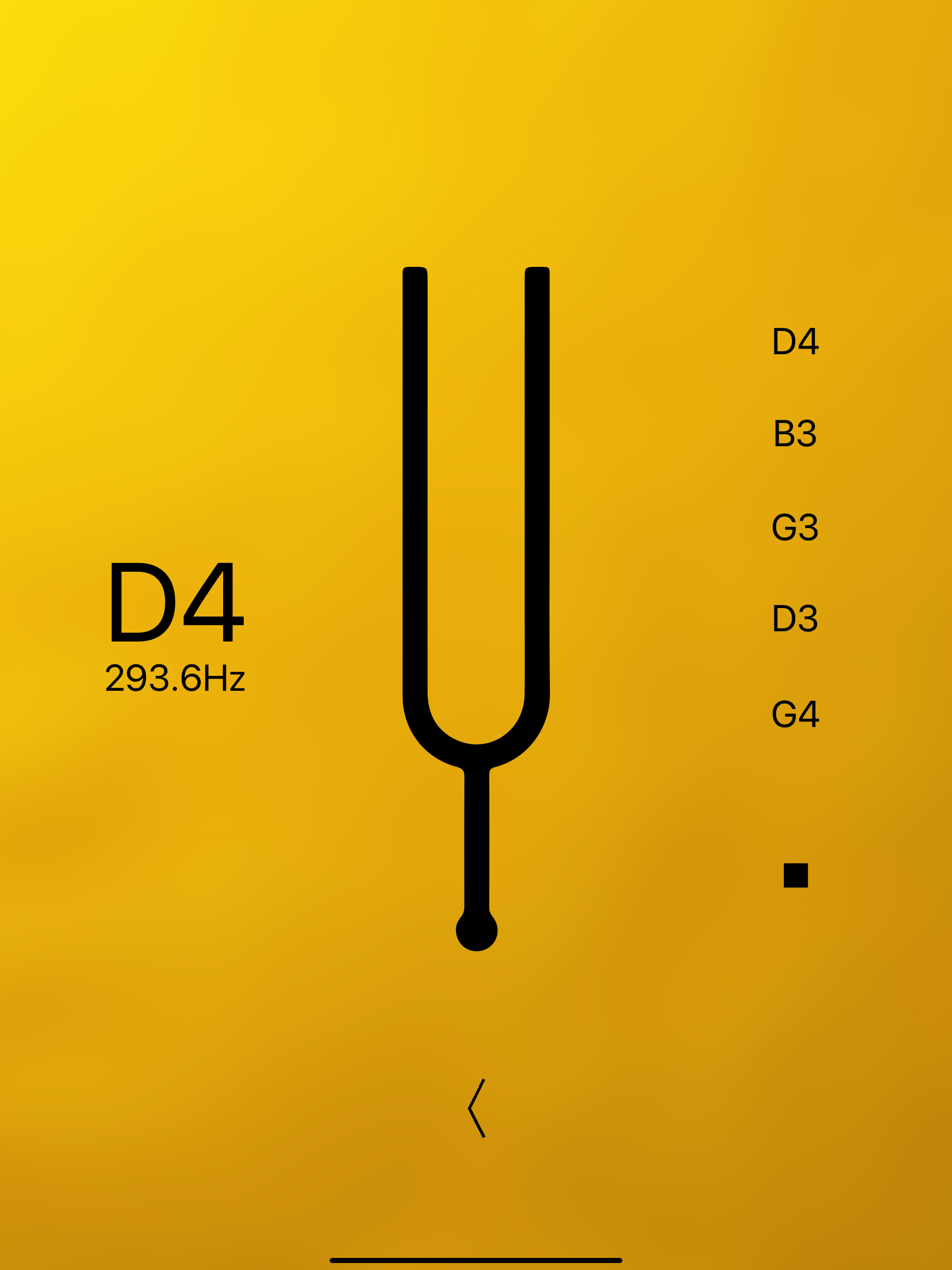 Banjo Tuner Professional screenshot 11