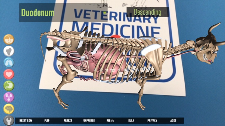 Illinois Cow screenshot-8