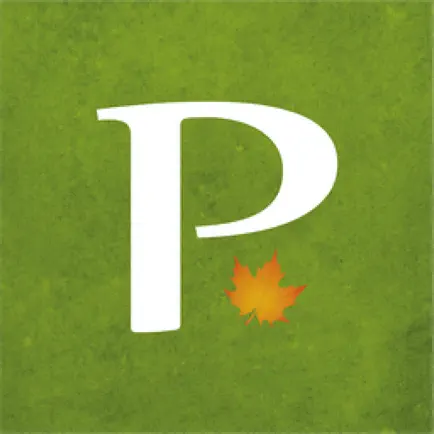 Platanus Читы