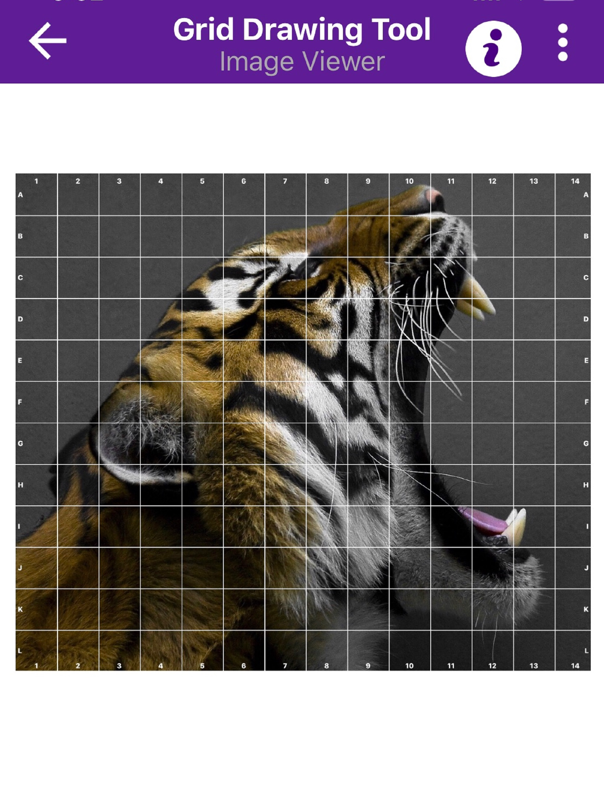 Grid Drawing Tool for Artists