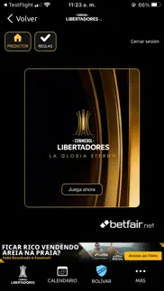 conmebol libertadores problems & solutions and troubleshooting guide - 3