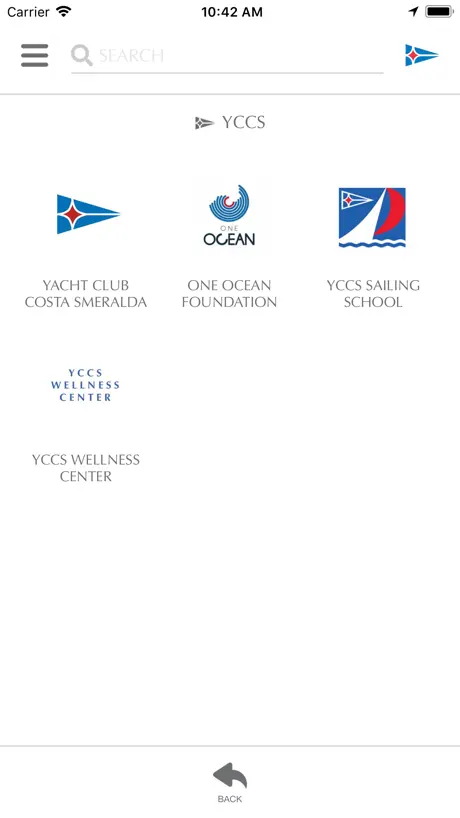 YCCS