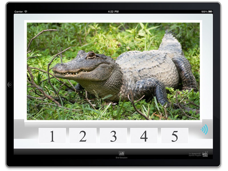 Syllable Counting SC