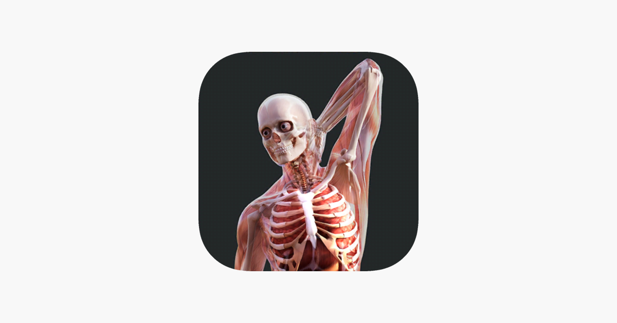 human anatomy psvr