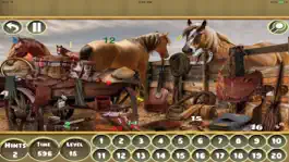 Game screenshot Hidden Objects:Hidden Numbers hack