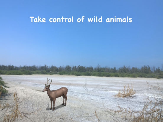 Screenshot #5 pour Wildlife AR