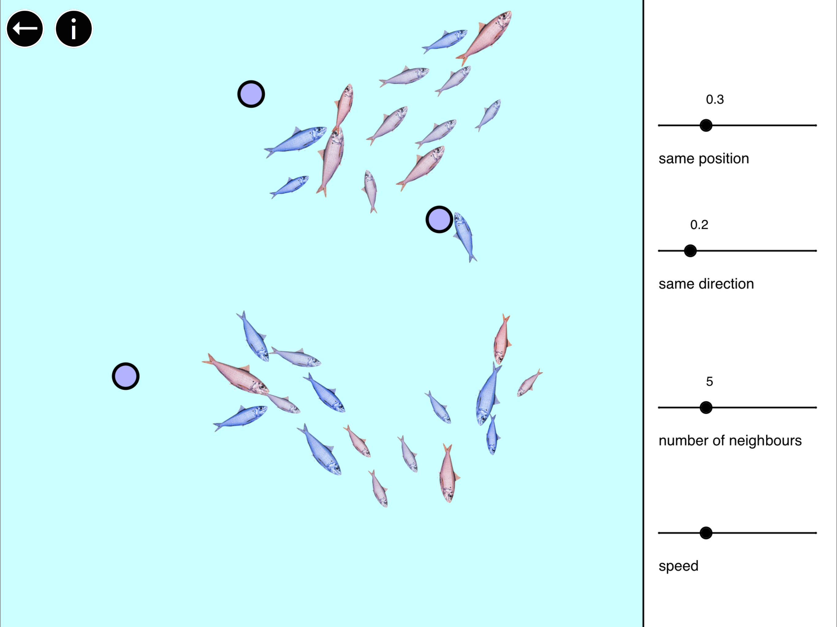 TUM interactive screenshot 14