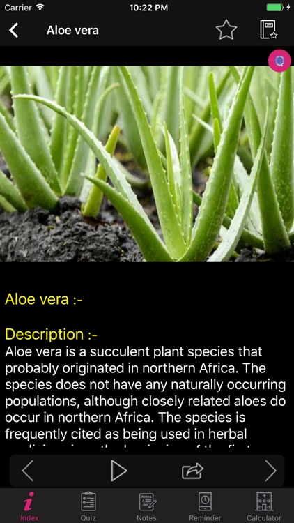 Natural Remedies Herbal