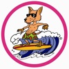 Surfing Dingo & Friends