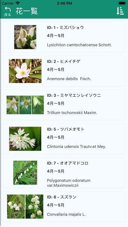 山の花（霧ヶ峰・八島） screenshot-5