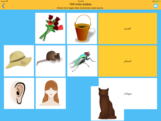 Screenshot #5 pour 144 mots arabes