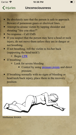 Wilderness First Aid