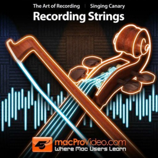 Recording String Course icon