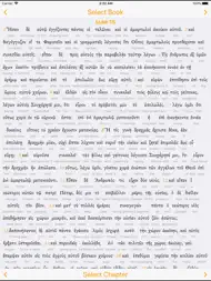 Interlinear Greek ipad bilder 2