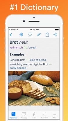 German Dictionary + © screenshot 1