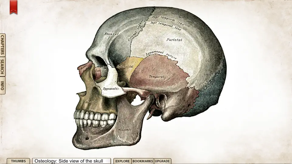 Скриншот Gray's Anatomy Student Edition на iPhone 2