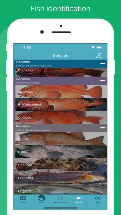 FishLegal screenshot-4