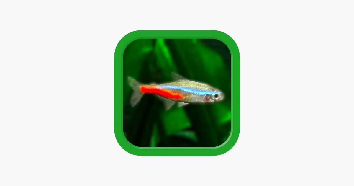 熱帯魚育成 ミニアクア 癒しのアクアリウム体験 をapp Storeで 熱帯魚育成 ミニアクア 癒しのアクアリウム体験 をapp Storeで