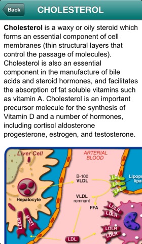 Your Cholesterolのおすすめ画像5