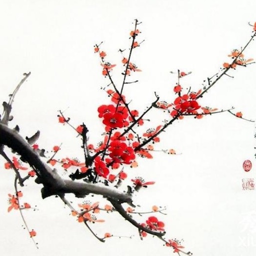 微商记账宝 - 微商记账,代购记账,在线销售记账