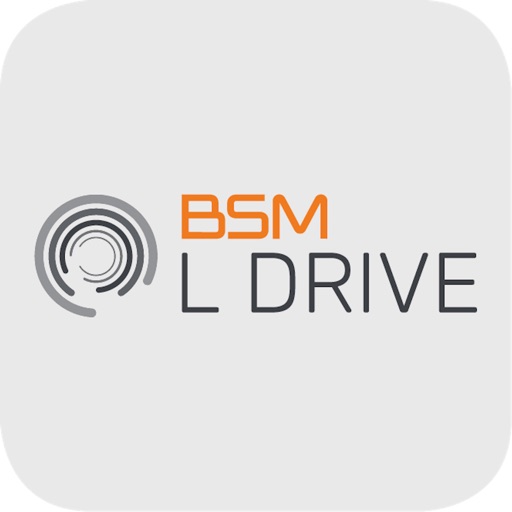 BSM L-Drive