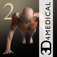 iMuscle 2 - iPhone Edition - 3D4Medical from Elsevier Cover Art