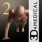 IMuscle 2 - iPhone Edition app download