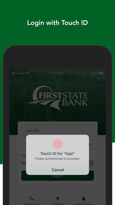 First State Bank Loomis Screenshot