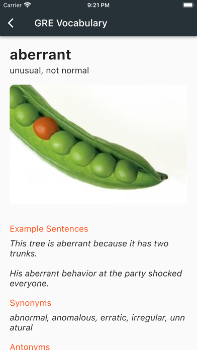 GRE Visual Vocabulary Screenshot
