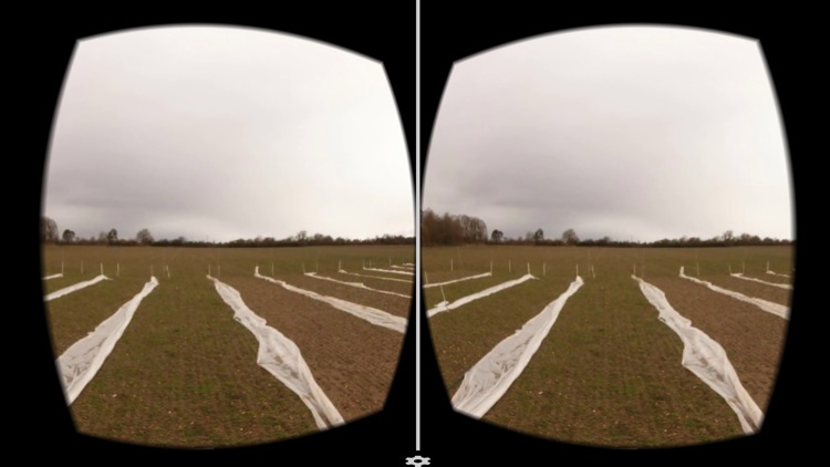 Dow VR