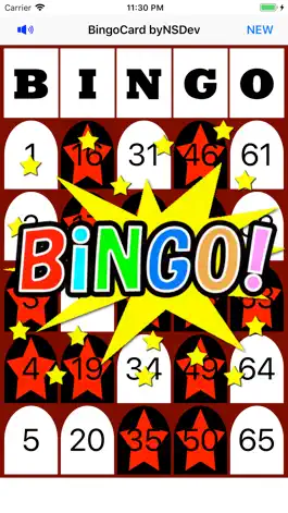 Game screenshot BingoCard byNSDev mod apk