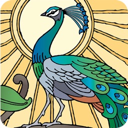 Winter Park Utility BillPay