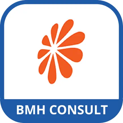 BMH Consult Читы