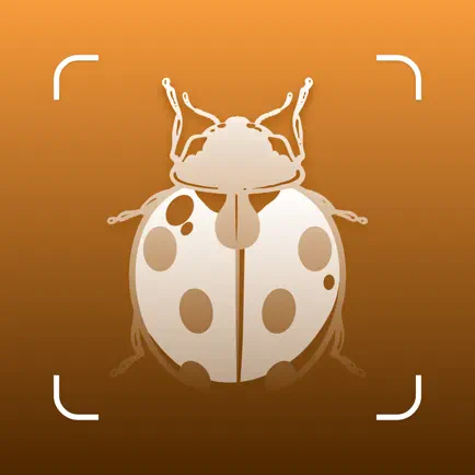 Insect ID - Bug Identifier Cheats