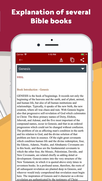 Screenshot #2 pour King James Study Bible - Audio